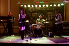 Ritz Carlton St. Louis, MO